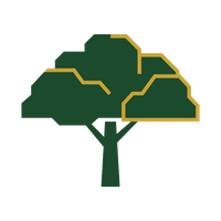 Hub City Tree Trimming